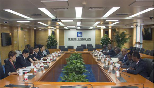 为中非合作搭建信用之桥——中国信保积极参与中非合作论坛北京峰会