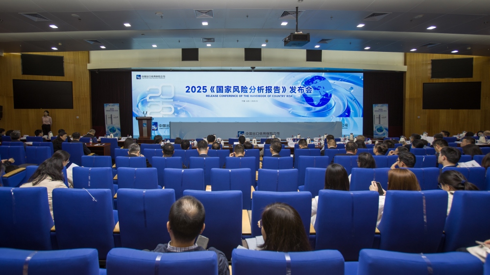 中国信保举办2025年《国家风险分析报告》发布会